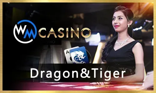 Casino Software Logo